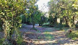 Земля за 150 000 евро на Корфу, Греция