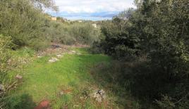 Земля за 300 000 евро на Корфу, Греция