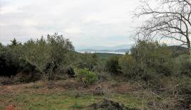 Земля за 300 000 евро на Корфу, Греция