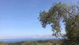 Земля за 175 000 евро на Корфу, Греция