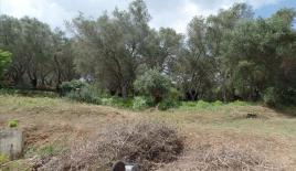 Земля за 450 000 евро на Корфу, Греция