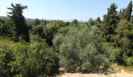 Земля за 160 000 евро на Корфу, Греция