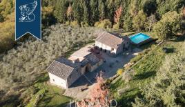 Ферма за 1 600 000 евро во Флоренции, Италия