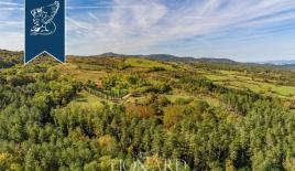 Отель, гостиница в Гроссето, Италия (цена по запросу)