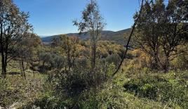 Земля за 516 845 евро в Улцине, Черногория