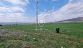 Земля за 121 000 евро в Кошарице, Болгария