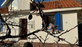 Дом за 62 000 евро в Сутоморе, Черногория