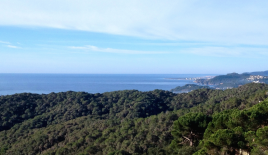 Земля за 275 000 евро на Коста-Брава, Испания