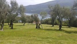 Земля за 2 100 000 евро в Дженовичах, Черногория