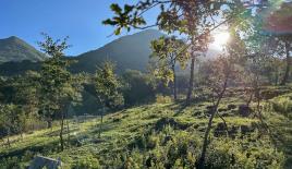 Земля за 95 000 евро в Баре, Черногория