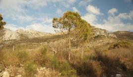 Земля за 452 000 евро в Баре, Черногория