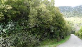 Земля за 126 500 евро в Херцег-Нови, Черногория