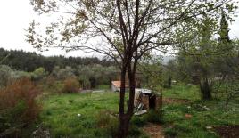 Земля за 226 441 евро в Которе, Черногория