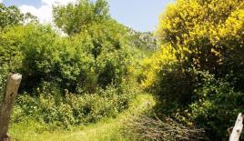 Земля за 99 950 евро в Баре, Черногория