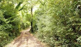 Земля за 1 100 000 евро в Ораховаце, Черногория