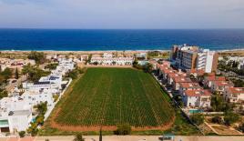 Кафе, ресторан за 2 250 000 евро в Протарасе, Кипр