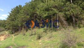 Коммерческая недвижимость за 25 705 евро в Горице, Болгария