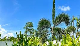 Вилла за 352 326 евро в Тхаланге, Таиланд