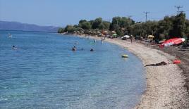 Земля за 200 000 евро в Аттике, Греция