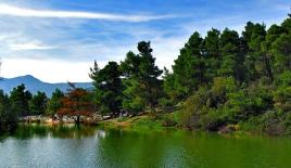 Земля за 240 000 евро в Аттике, Греция