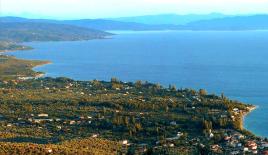 Земля за 250 000 евро в Аттике, Греция