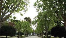 Земля за 400 000 евро в Афинах, Греция