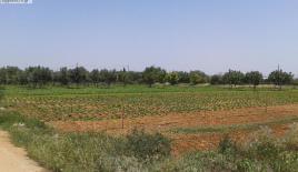 Земля за 330 000 евро в Аттике, Греция