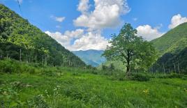 Земля за 43 878 евро в Батуми, Грузия