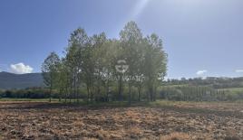 Дом за 130 000 евро в Массе, Италия