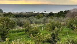 Земля за 600 000 евро в Пафосе, Кипр