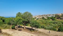 Земля за 1 300 000 евро в Пафосе, Кипр