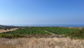 Земля за 11 000 000 евро в Пафосе, Кипр