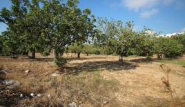 Земля за 1 250 000 евро в Пафосе, Кипр