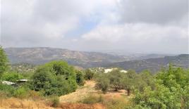 Земля за 1 600 000 евро в Пафосе, Кипр