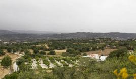 Бунгало за 303 050 евро в Пафосе, Кипр