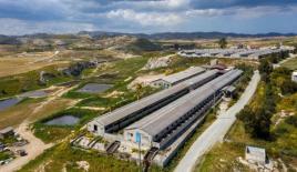 Коммерческая недвижимость за 390 000 евро в Ларнаке, Кипр