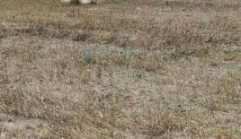 Земля за 275 000 евро в Ларнаке, Кипр