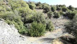 Земля за 630 000 евро в Лимасоле, Кипр