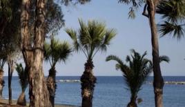 Апартаменты за 2 500 000 евро в Лимасоле, Кипр