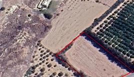 Кафе, ресторан за 720 000 евро в Пафосе, Кипр