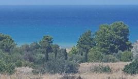 Земля за 590 000 евро в Пафосе, Кипр