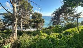 Земля за 809 600 евро в Баре, Черногория