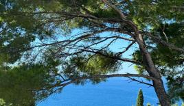 Вилла за 450 000 евро в Баре, Черногория