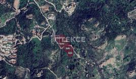 Ферма за 3 380 000 евро в Бодруме, Турция