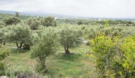 Земля за 150 000 евро в Ираклионе, Греция