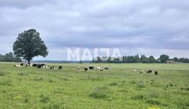 Земля за 3 000 000 евро в Латвии