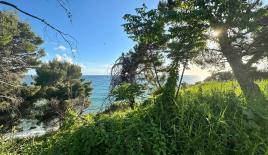 Земля за 809 600 евро в Баре, Черногория