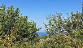 Земля за 219 000 евро в Добра Воде, Черногория