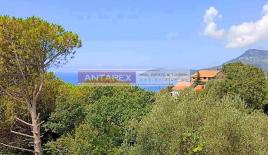 Вилла за 110 000 евро в Шушани, Черногория