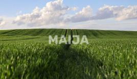 Земля за 6 300 000 евро в Латвии